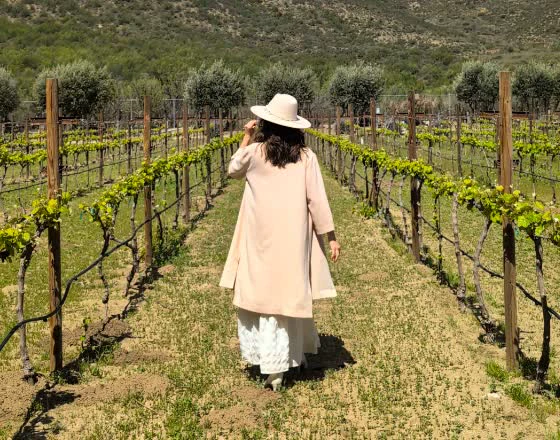 Planeación de Viajes en Valle de Guadalupe
